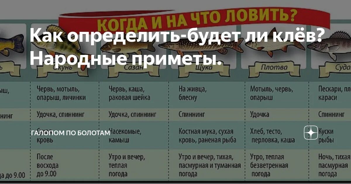 Народные приметы о клеве рыбы. Приметы для ловли рыбы. Народные приметы по клеву рыбы. Приметы для рыбалки.