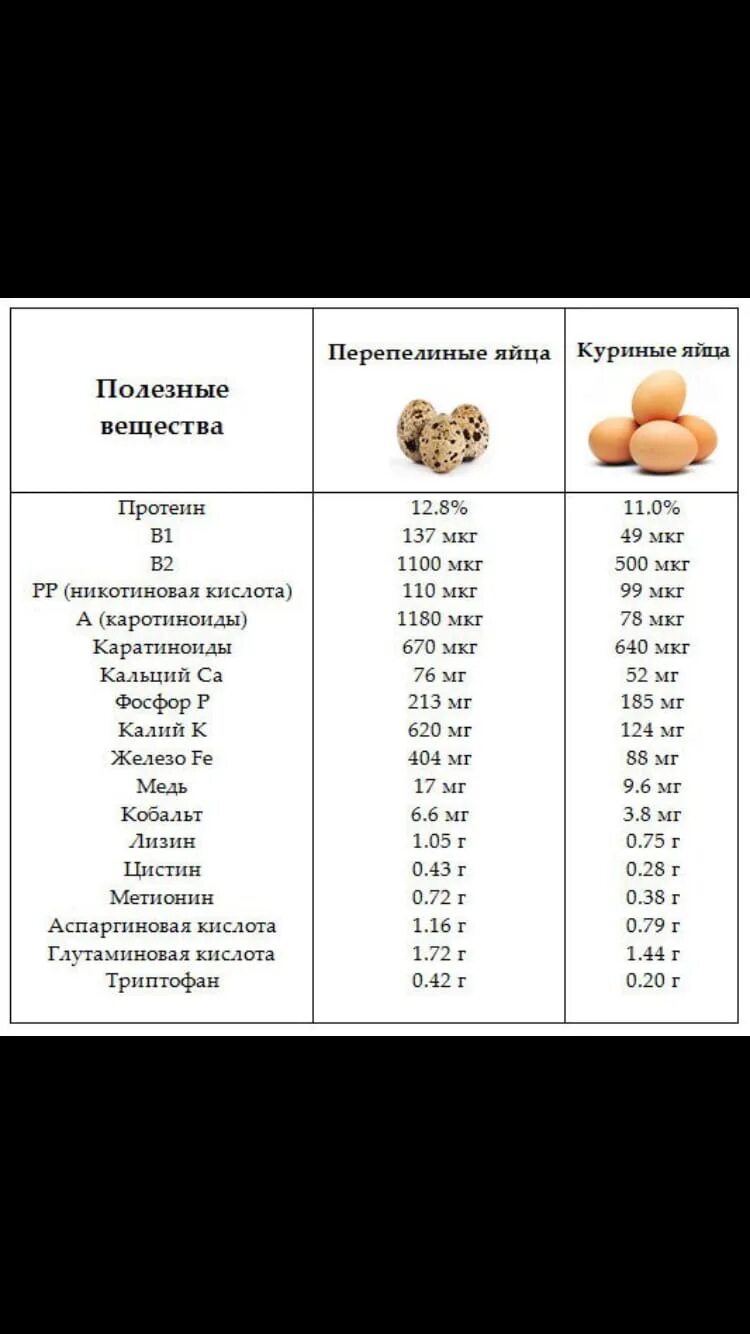 Сколько перепелиных яиц в день можно ребенку. Пищевая ценность перепелиных яиц 1 шт. Размер перепелиного яйца. Вес перепелиного яйца. Перепелиные яйца габариты.