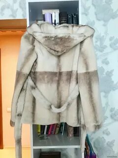 Стриженный бобер фото