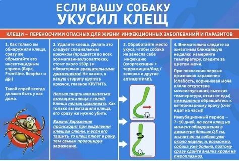 Опасные для жизни заболевания