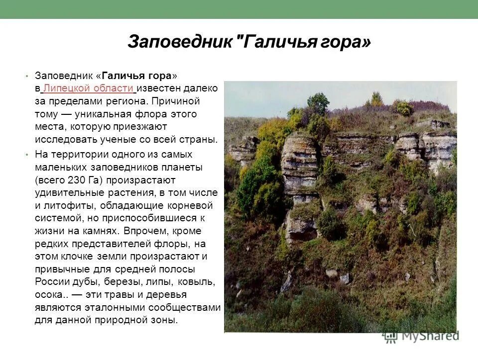 проект галичья гора липецкая область. галичья гора заповедник на карте. число заповедников в липецкой. число заповедников в липецкой. число заповедников в липецкой.