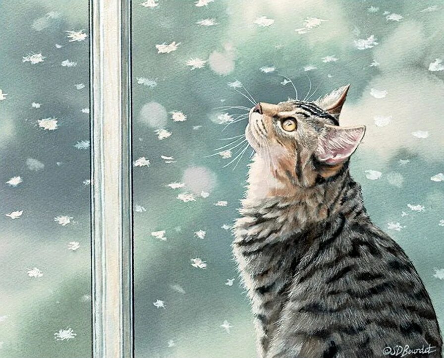 Сьюзен Бордет художник Ах,эти кошки. Сьюзен Бордет зима. Кошка на зимнем окне. Котик у окна. Жду первый снег