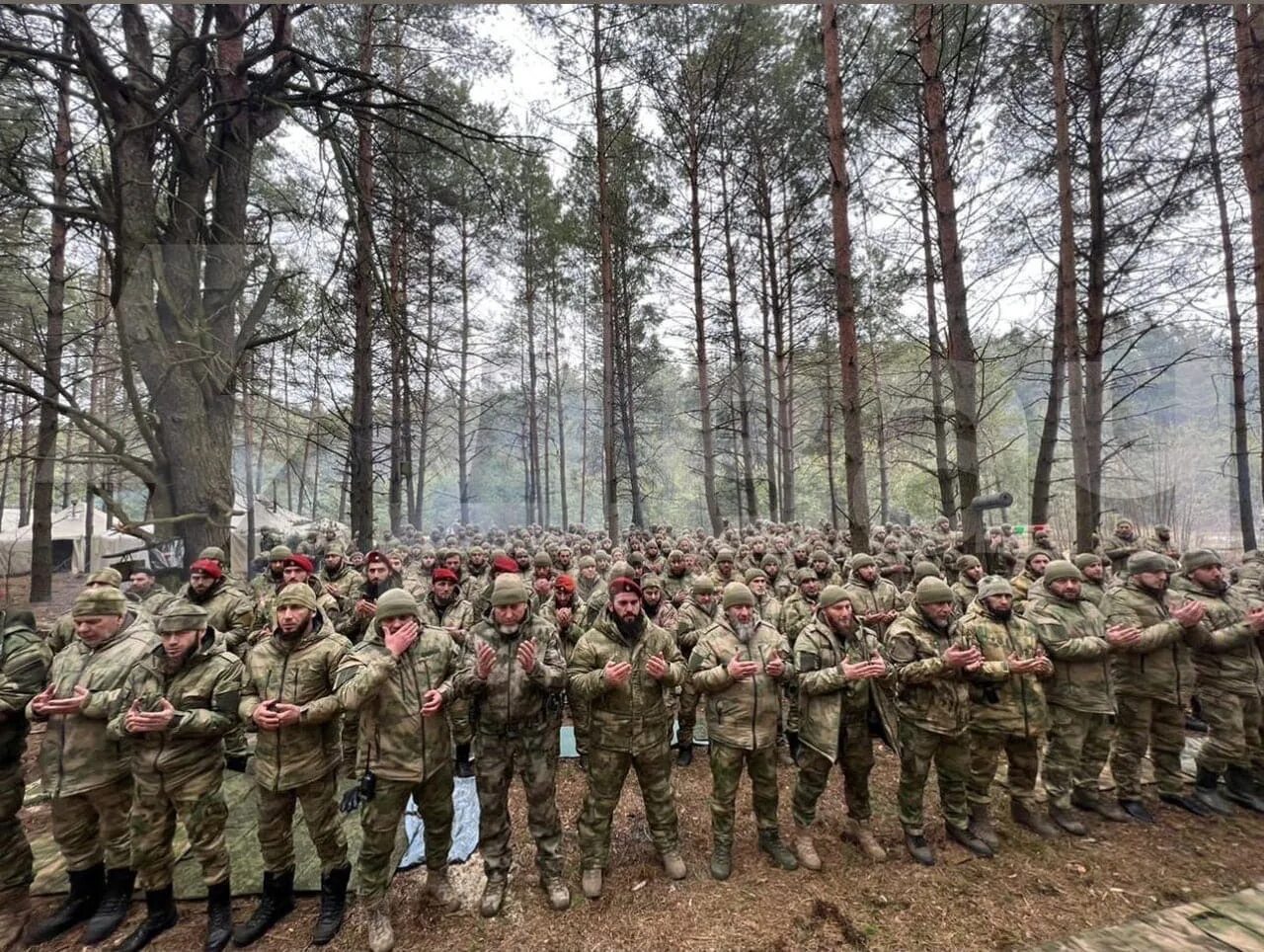 Сколько чеченцев воюют