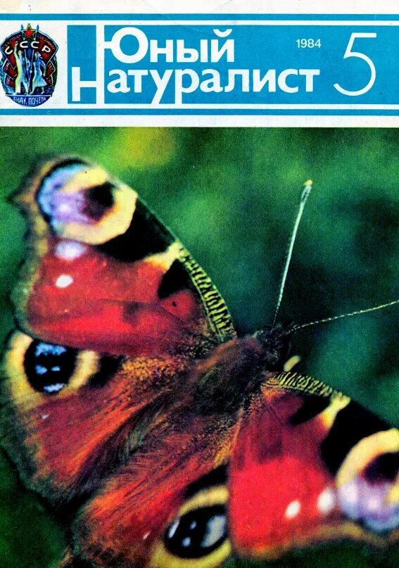 Юный натуралист 5. Обложка журнала Юный натуралист. Юный натуралист 1984 5. Юный натуралист 1984 4. Юный натуралист обложка 1984.