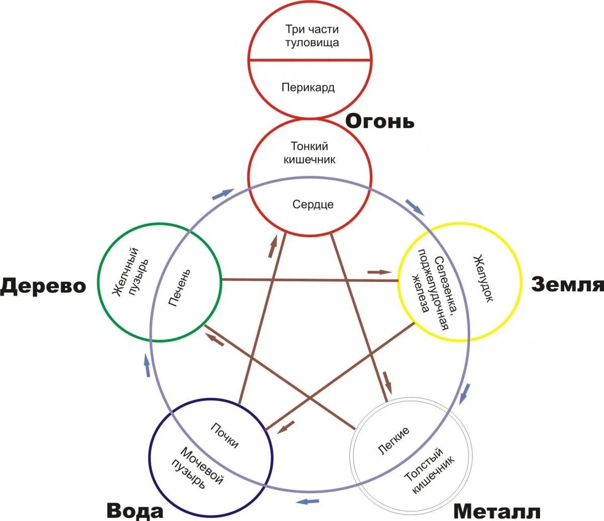 5 элементов человека. Концепция у-син 5 первоэлементов. Пять первоэлементов китайской философии. Круг у-син 5 элементов. Система у-син, 5 первоэлементов.