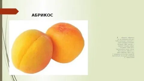 Абрикоса текст