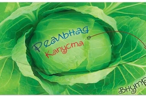 Сокращение дробей - Математика - Уроки - 6 класс