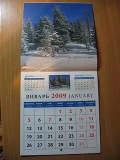 Январь 2009 год