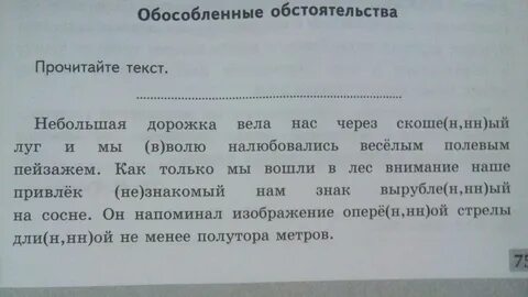 Небольшая дорожка вела нас через