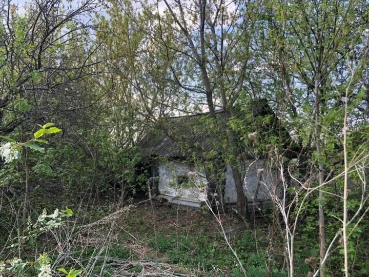Деревня кондрыкино нижегородская область. Аносово большое болдино. Аносово большое болдино. Село кондрыкино. Погода в больших полянах большеболдинского.