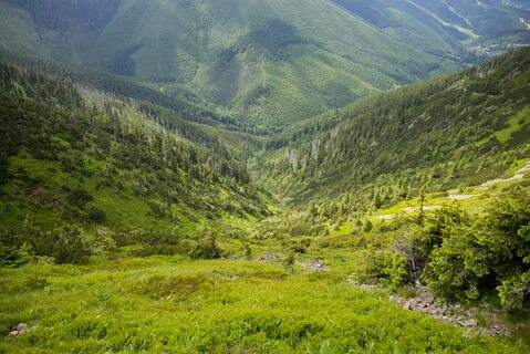 Environment ranges