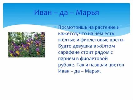 Марья без ивана