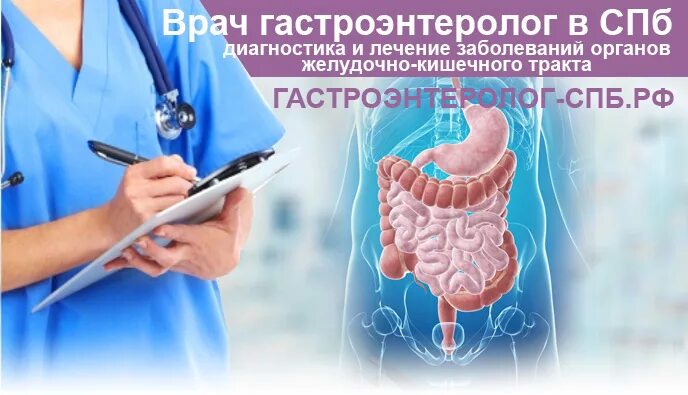 Консультация гастроэнтеролога. Записаться к гастроэнтерологу. Прием гастроэнтеролога. Запись к гастроэнтерологу. Октябрьский гастроэнтеролог