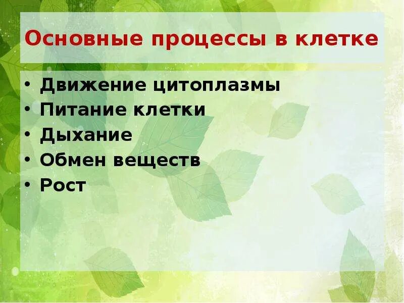 Вставьте пропущенные слова в текст движение цитоплазмы. Процессы жизнедеятельности клетки. процессы жизнедеятельности клетки биология. процессы жизнедеятельности клетки 5 класс. основные процессы жизнедеятельности движение цитоплазмы.