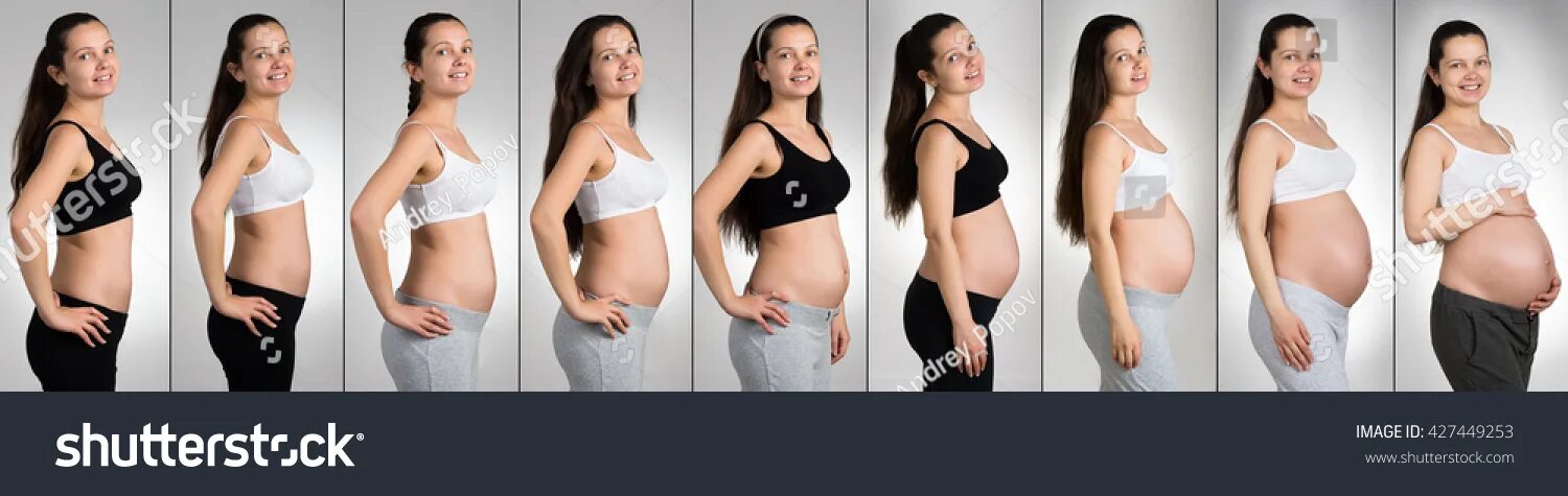 Третья беременность живот растет. Живот у беременных по месяцам. Живот беременной женщины по неделям. Животики беременных по месяцам. Живот беременной по неделям у полных.