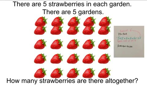 How many flowers are there