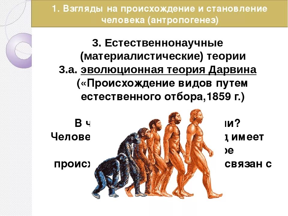 Что происходит с человеком на 9 день. Происхождение человека. Теории происхождения человека. Происхождение человека кратко. Концепции происхождения человека.