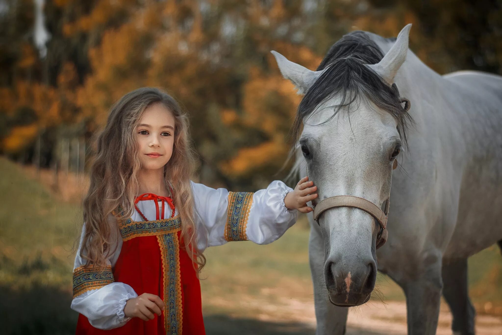 Кони сказки девочку. Девочка на лошади. Детская фотосессия с лошадьми. Фотосессия с лошадьми дети. Девочка и конь.