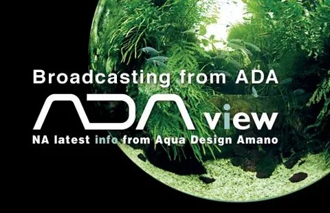 Компания ada