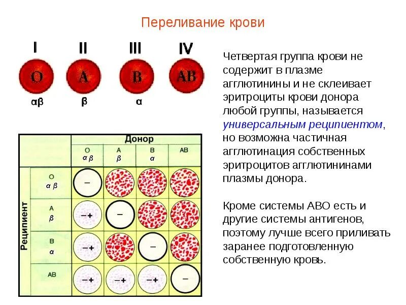 Антиген в крови донора. Агглютинация клеток крови. Группы плазмы крови. Группы крови эритроциты плазма. Донор крови группа крови.