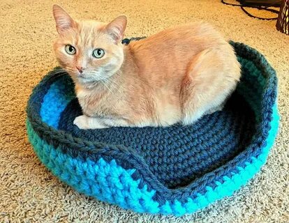 Пряжа коте