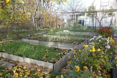 Огород поздней осенью