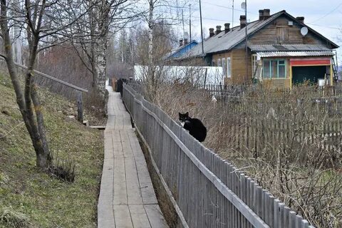 Погода усть алексеево