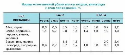 Какая температура нужна винограду