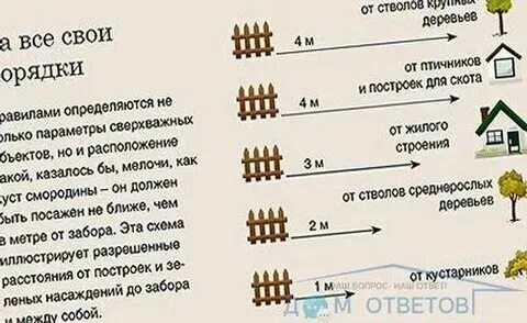 Нормативы заборы между соседями
