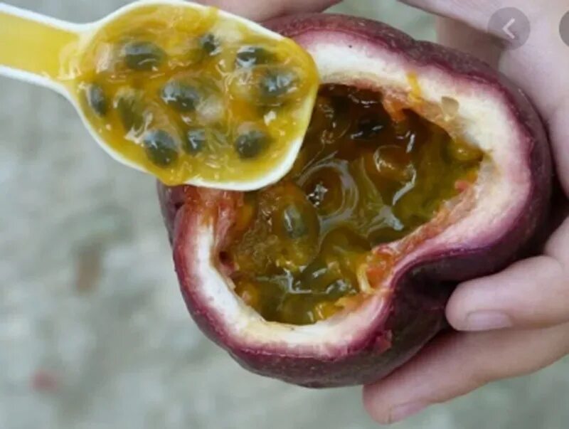 Как делают сушеную маракуйю