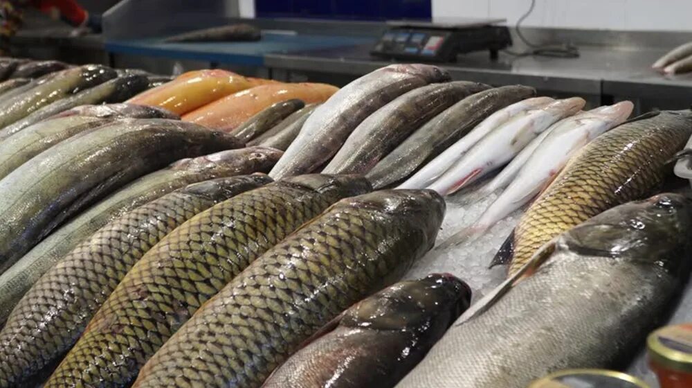 Купи рыбу сайт. Фишмаркет Западно Сибирская. Рыба портал. Copenhagen Fishmarket. Fish in the shop.