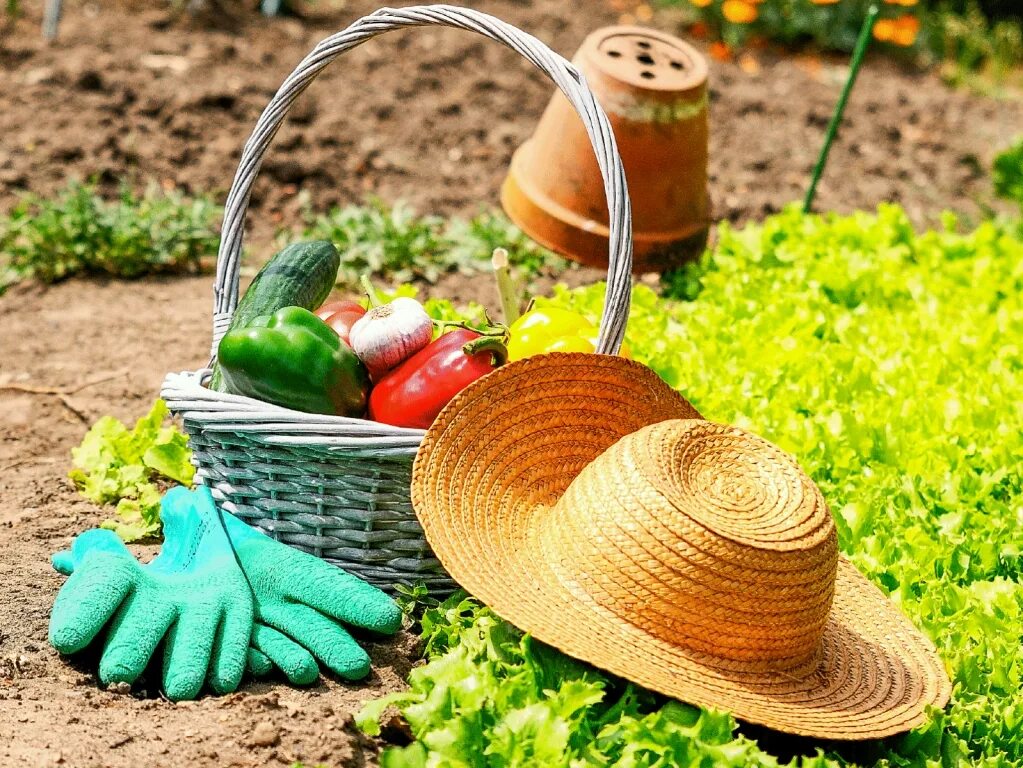 садово-огородный инвентарь. необычная садовая мебель. аксессуары для дачи. гриль-барбекю jfq3511a.