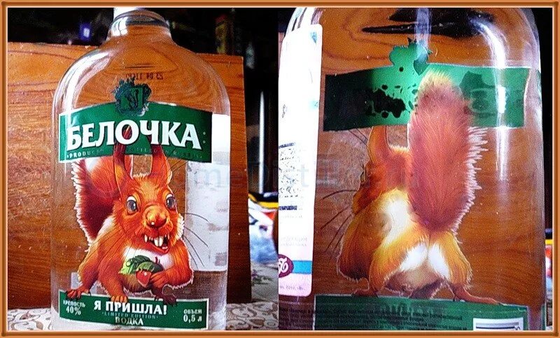 Когда приходит белочка от пьянки. Белочка пришла. белочка пришла к алкашу. белочка у алкоголиков.