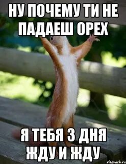 Каждый день мы ждем этот день
