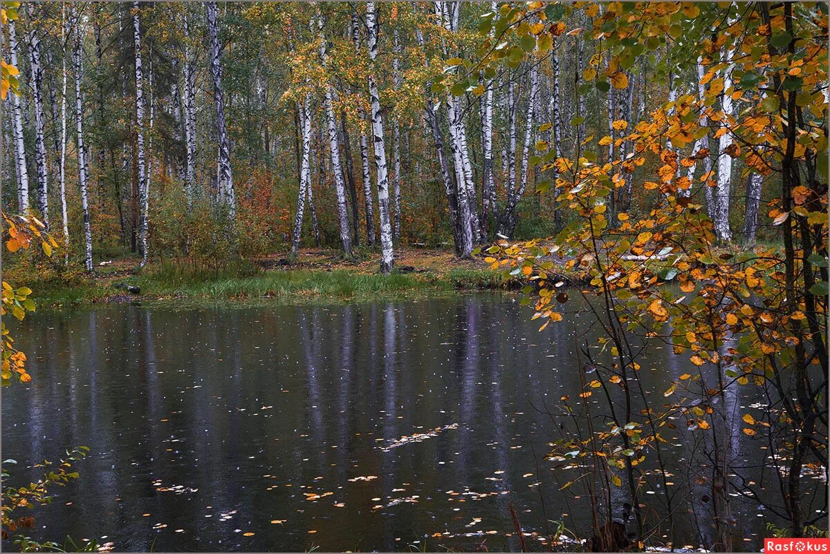 Погода конец сентября октябрь. Фотографии конец сентября. Расфокус.