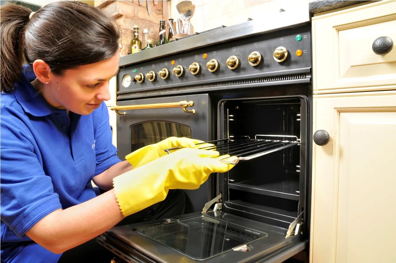 Oven Cleaning. Эмалированная посуда для духовки. Clean the Oven. Очищение духовки.