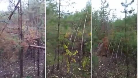Аномальные новости