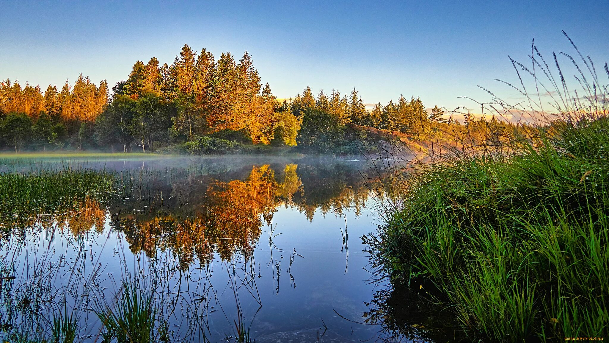 Природа реки озера пейзажи. Карелия лес. рассвет над рекой. природа финляндии летом. водоем в лесу.