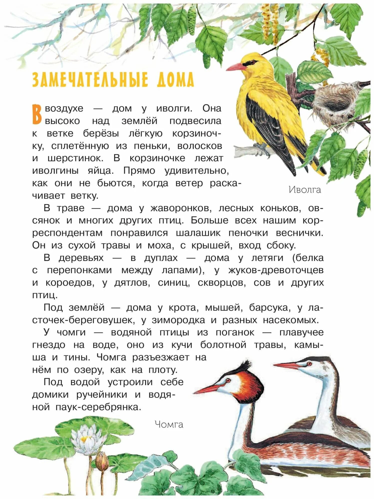 Природа рассказы про животных. Рассказы о природе 3 класс короткие бианки. рассказы о природе бианки и пришвин. бианки рассказы о природе 4 класс. рассказ о животных пришвина бианки.