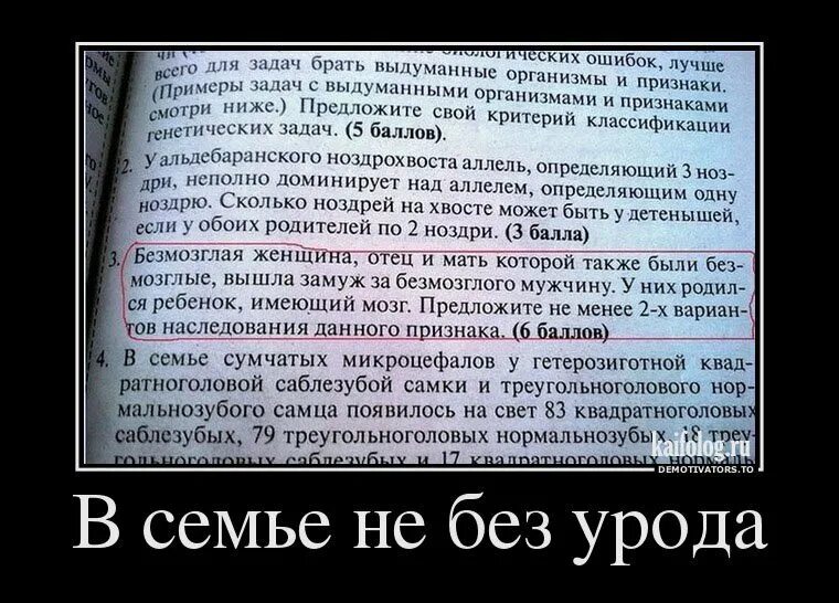 Лучшая ошибка