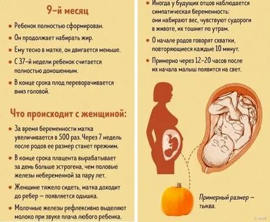 Почему плод икает в утробе