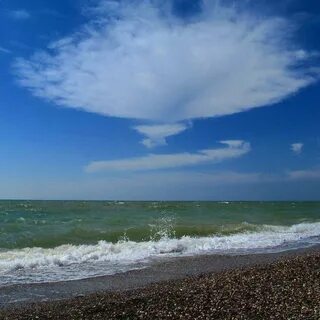 В саки есть море