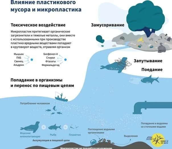 Микропластик в окружающей среде. Микропластик в морской среде. Микропластик в организме человека. Микропластик в океане. Влияние океана на сушу