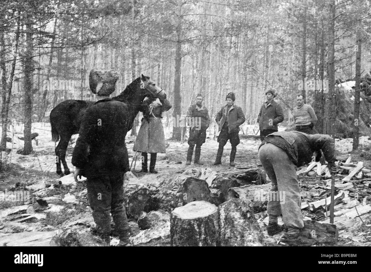 Лес у володи. Партизанский лагерь ВОВ. Лагерь Партизан в лесу. Партизанский лагерь в лесу. Партизанский отряд в лесу.