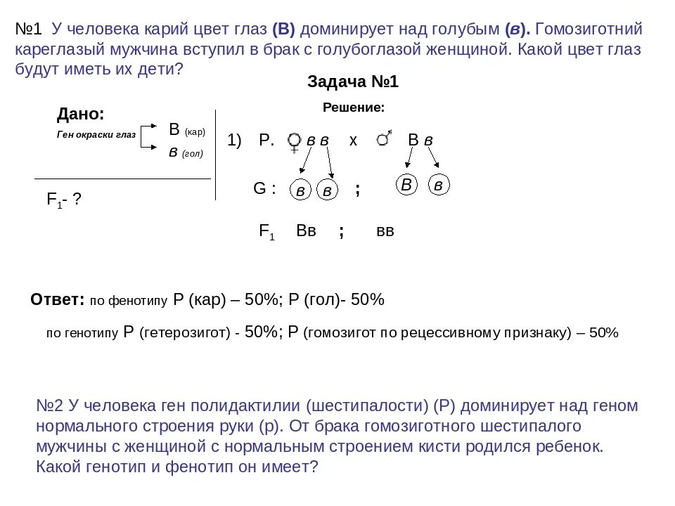 Задача по генетике на цвет глаз. Генетическая задача на цвет волос. Задачи на наследования цвета глаз. Задачи по генетике по цвету глаз.