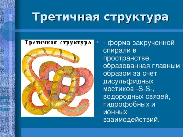 Состоит из двух спирально закрученных