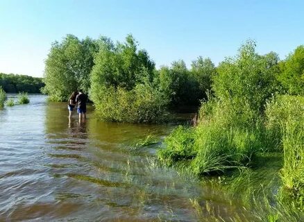 На сколько метров поднялась река ока