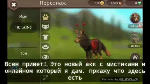 Акк в вилд крафт