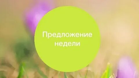 Недельное предложение