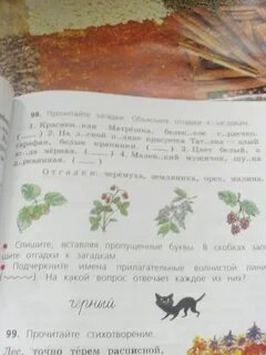 Прочитайте загадки объясните отгадки к загадкам